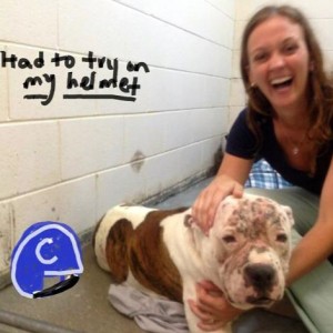 Ozzy at shelter