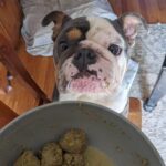 Yoda looking up at his bowl of meatballs.