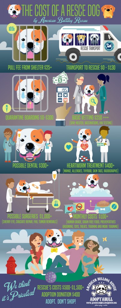 The Cost of a Rescue Dog infographic by American Bulldog Rescue