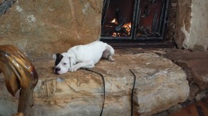 emmett sitting at fireplace